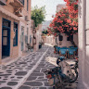 Meet your Posher, Evie